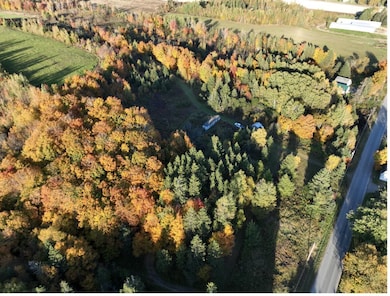 234 Ladner Rd, Easton, ME 04740 - photo 5