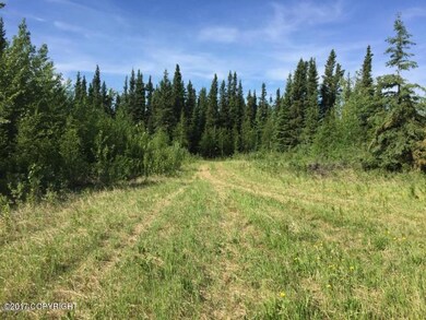 tanana6