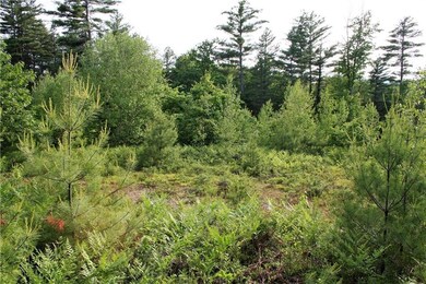 0012 Keene Ln, Bridgton, ME 04009 - photo 4