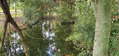 5426 Ione Rd, Pavo, GA 31778 - photo 3