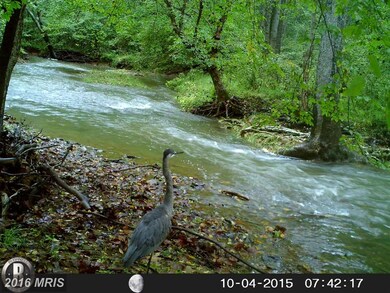 0 Old Foxville Rd unit 1002908400, Warrenton, VA 20186 - photo 5