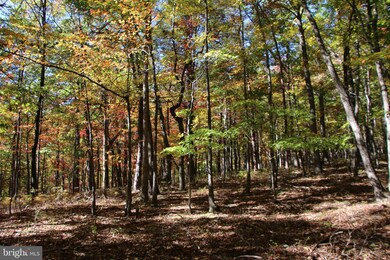 0 Back Rd unit VASH2007088, Toms Brook, VA 22660 - photo 5
