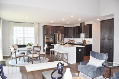 10970 Arkansas Place, Crown Point, IN 46307 - photo 4