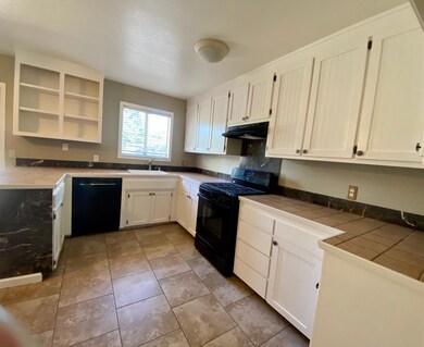 Modern Kitchen