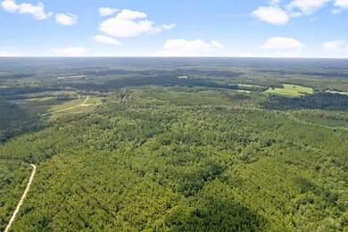 0 Roberson Rd, Hortense, GA 31543 - photo 4