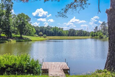 Pond!