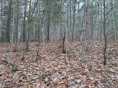 0 Holland Trail unit Lots 8 & 9 of Snowoo, Thornton, NH 03285 - photo 2