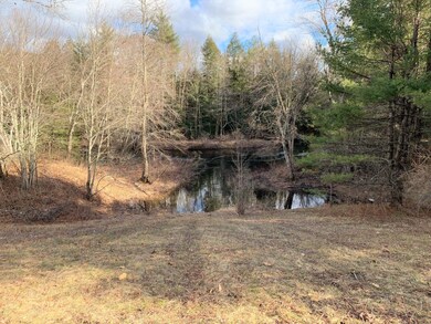 Lot# 000070 Battle St, Webster, NH 03303 - photo 4