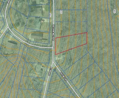 45 Hollowway Dr, Bella Vista, AR 72715 - photo 5