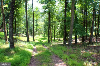 50 acs Skaggs Run & Paul Bean Rd, Baker, WV 26801 - photo 2