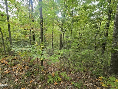 L 10/11 Bluebird Ridge Way, Sevierville, TN 37876 - photo 7