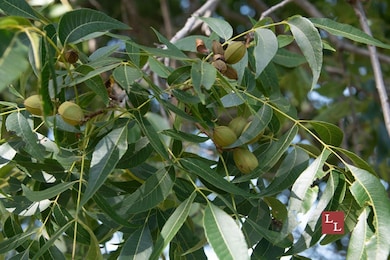 Union Valley Rd, Terral, OK 73569 - photo 4