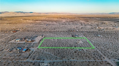 65370 Brant Crossing Rd, Joshua Tree, CA 92252 - photo 3