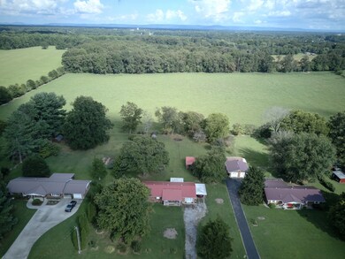 170 Lou Ellen Dr, Manchester, TN 37355 - photo 4