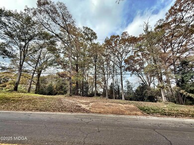 0 S Lee St, Forsyth, GA 31029 - photo 5