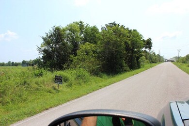 13ACRES County Road 168, Alvin, TX 77511 - photo 3