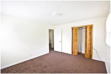 1569 Cherry Tree Dr, Clarksville, TN 37042 - photo 5