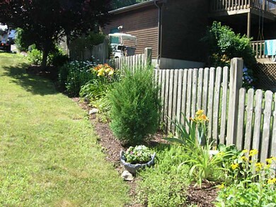 Yard/Garden.