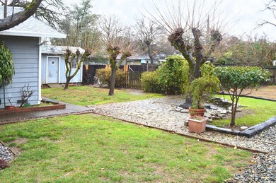 back yard