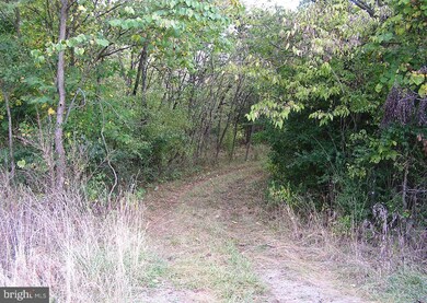 0 Wadesville Rd, Russell, VA 22611 - photo 2