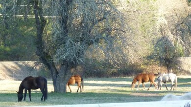5497 E Evans Creek Rd, Rogue River, OR 97537 - photo 6