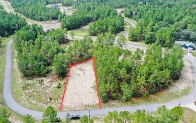 12828 SW 86th Cir, Ocala, FL 34473 - photo 4