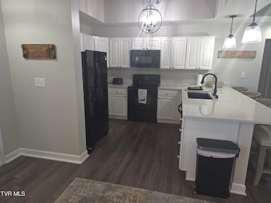 120 Raceday Center Dr unit 604, Bristol, TN 37620 - photo 3