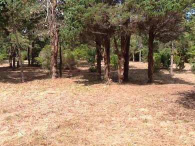 22 Scotchmans Ln, West Tisbury, MA 02568 - photo 6