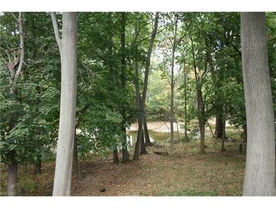 View of nature going down toward the river under t