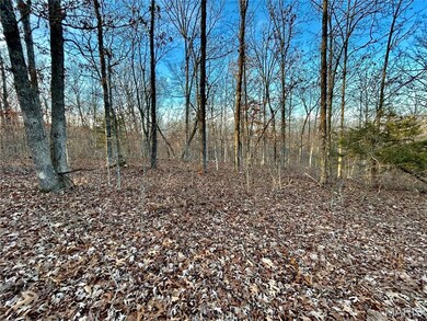 0 Tbd Tract 1 Highway Cc, Salem, MO 65560 - photo 7