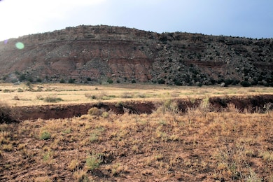 59.39 Acs Dalton Wash Rd, Virgin, UT 84779 - photo 2