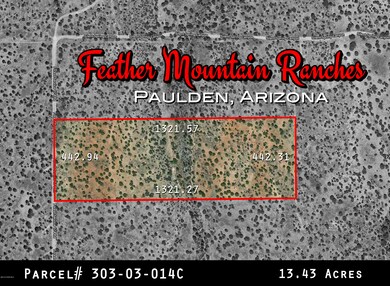 Aerial Map