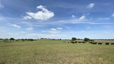 2550 County Road 904, Joshua, TX 76058 - photo 4