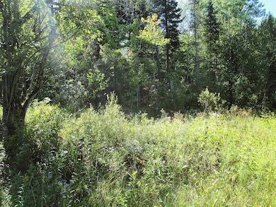 432 Farm Rd, Lowell, VT 05847 - photo 5