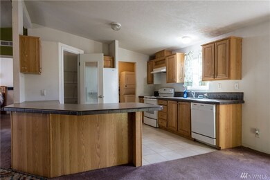 123 N Joseph Ave, East Wenatchee, WA 98802 - photo 7