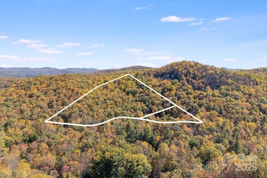 5389 Cascade Lake Rd, Cedar Mountain, NC 28718 - photo 5