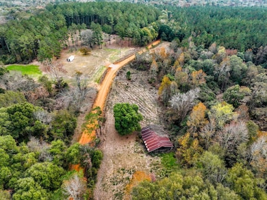 7 Lot E County Road 682, Coffee Springs, AL 36318 - photo 4