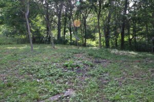 5448 Rock Springs Rd, Harrison, AR 72601 - photo 3