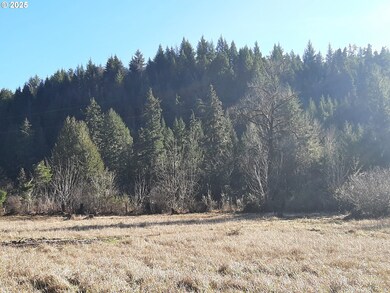 39933 Layng Creek Rd, Dorena, OR 97434 - photo 6