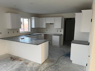 2206 Elk Run Dr SE, Pine Island, MN 55963 - photo 5