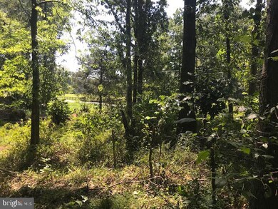 4550 Dumfries Road - Route 605 Nearest Fairmeadow Ln, Catlett, VA 20119 - photo 2