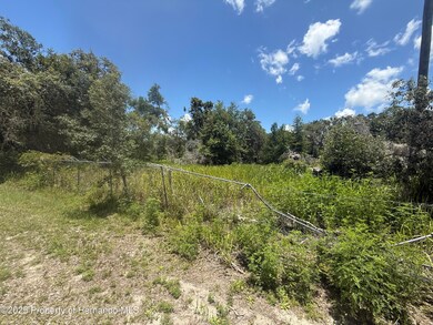 0 Goolsby St unit 2254412, Webster, FL 33597 - photo 2