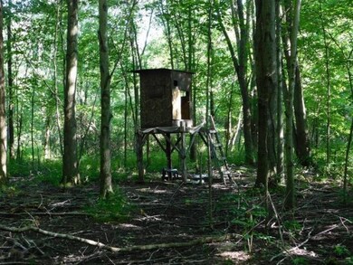 2 of 2 Ground Blinds