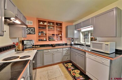 double stainless steel sink and new dishwasher