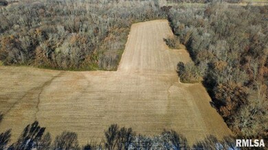 0000 N Dartmouth Ln, Mount Vernon, IL 62864 - photo 4