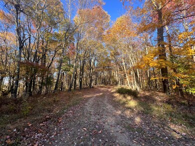 0 Braughler Rd unit 25589570, Grant Township, PA 15771 - photo 5