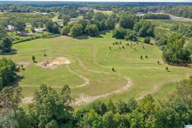 22248 U S Highway 31 unit 1, Thorsby, AL 35171 - photo 3