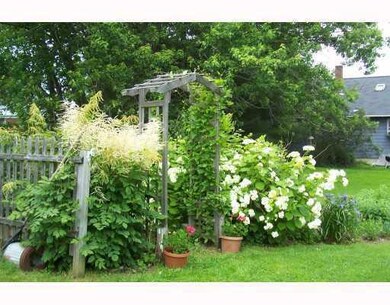 Yard/Garden.