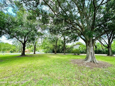 mature trees