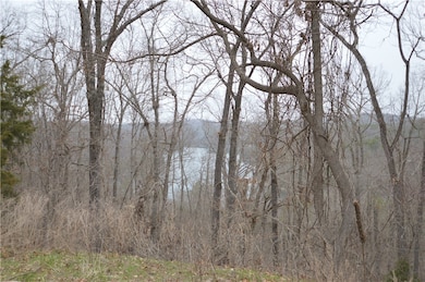 View before the leaves come out. With some tree tr